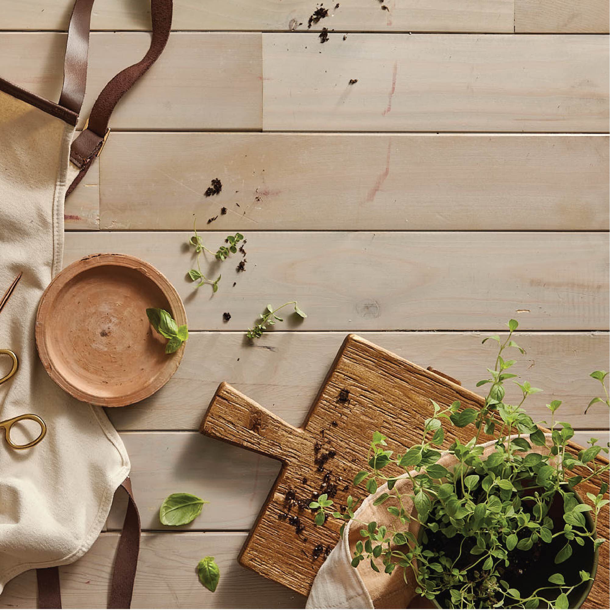Fresh-Cut Basil Reed Diffuser Oil Refill - Thymes