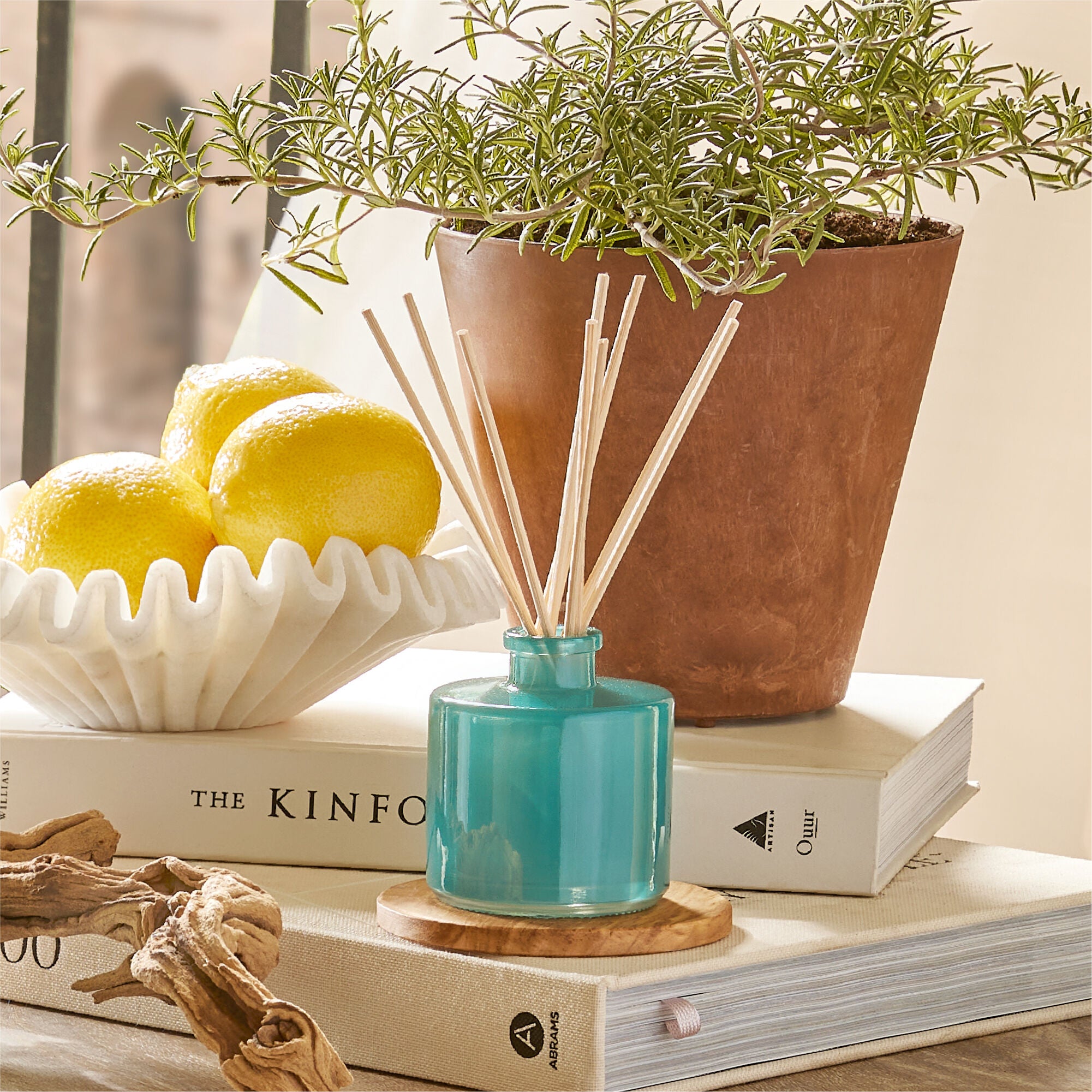 Cyprus Sea Salt Petite Reed Diffuser - Thymes