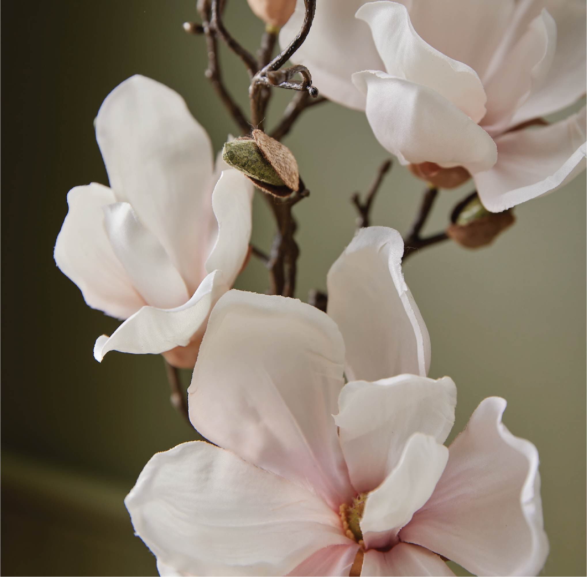 Magnolia Willow Poured Candle - Thymes