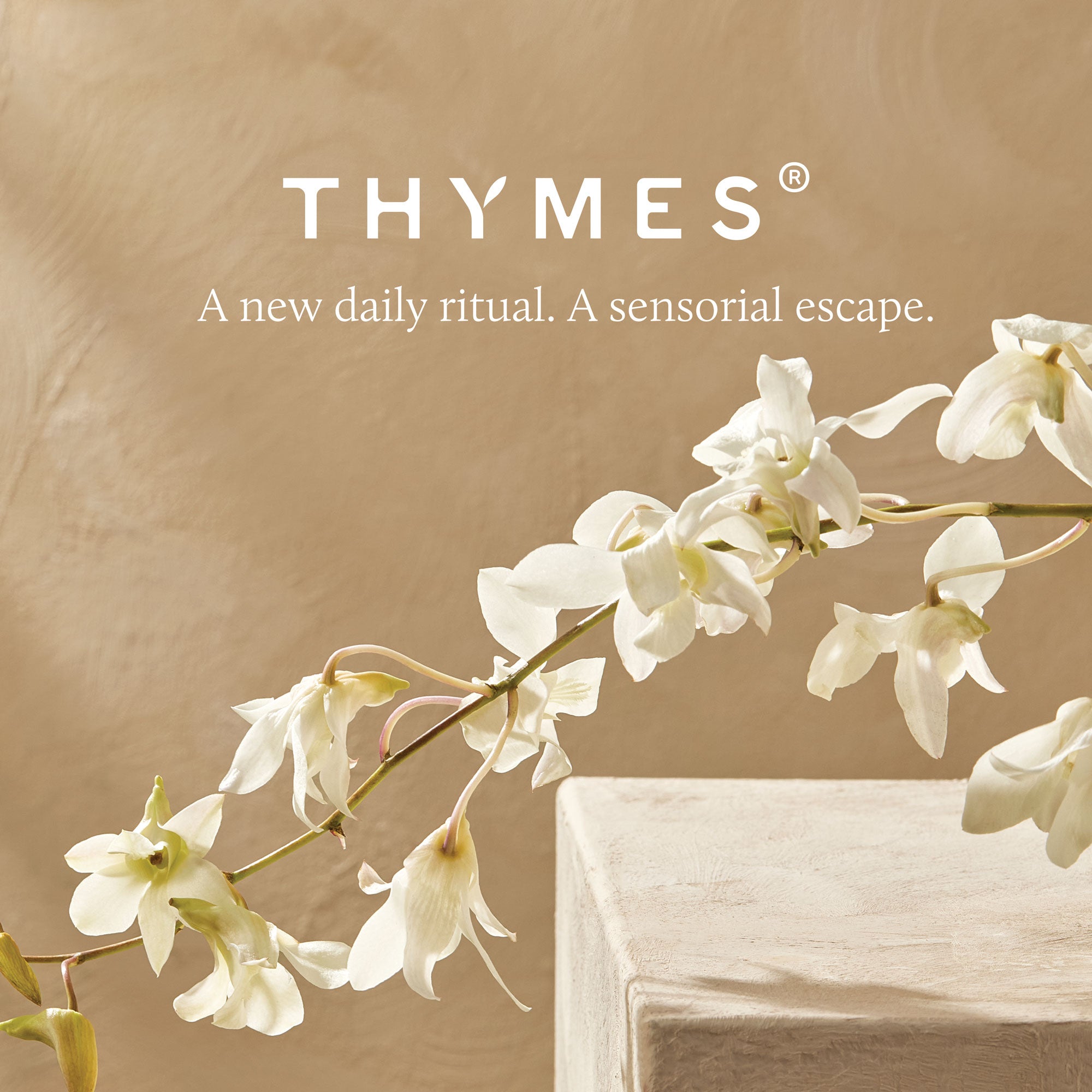 Lavender Replenishing Hand Lotion - Thymes