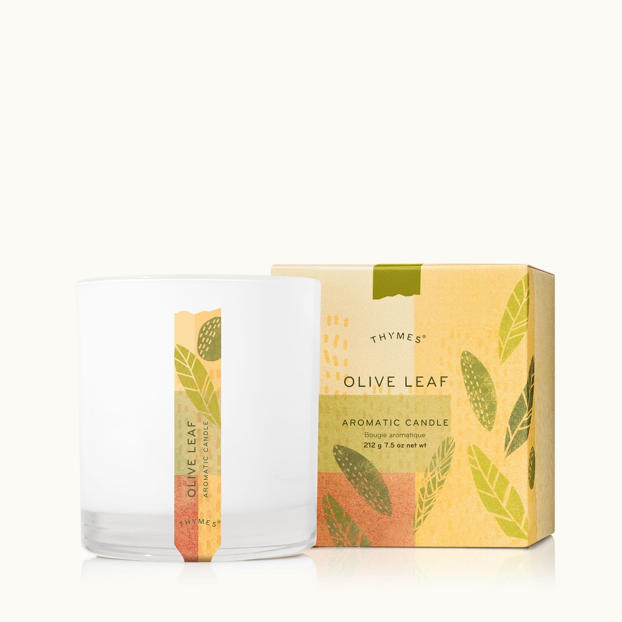 Olive Leaf Candle - Thymes
