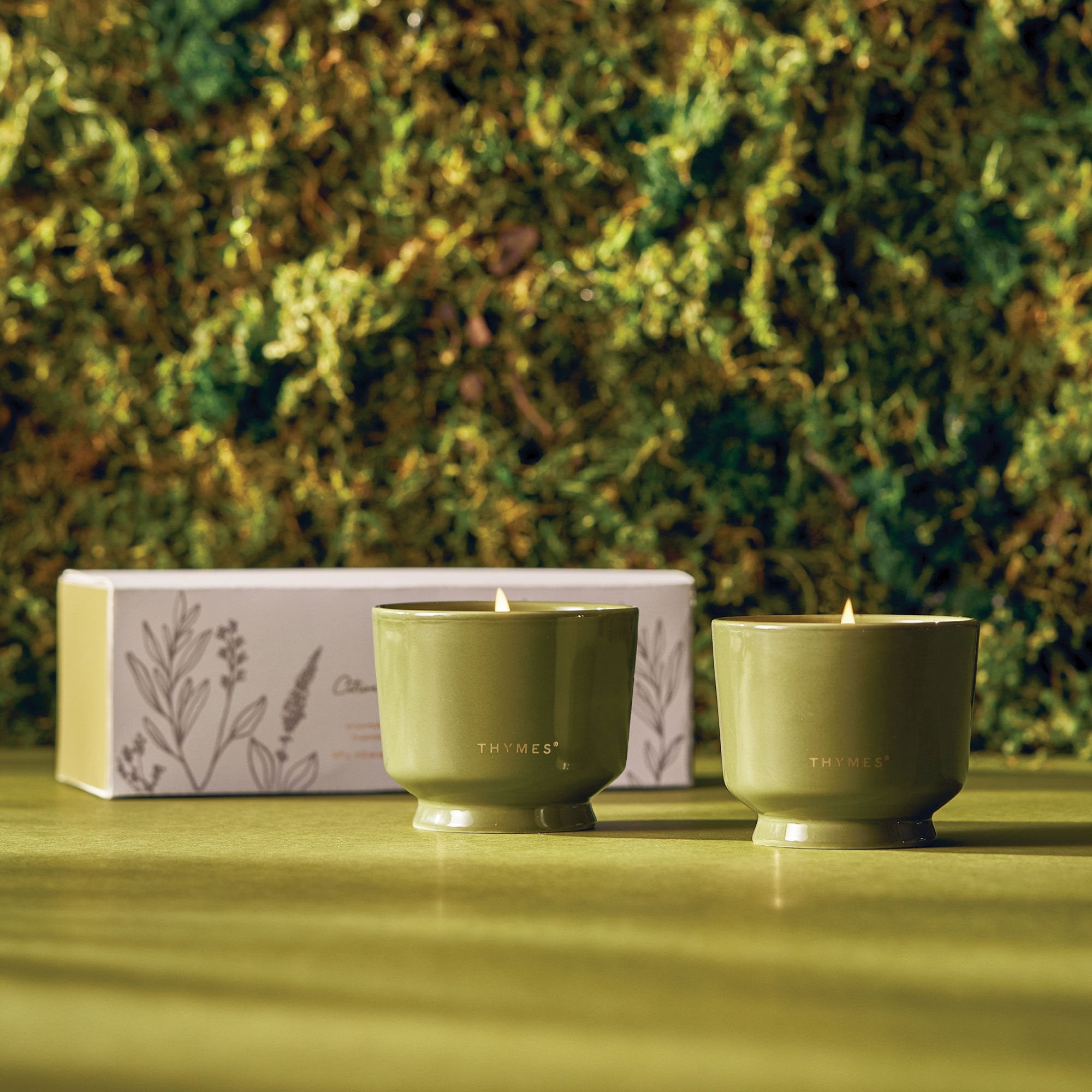 Outdoor Oasis Citronella Grove Aromatic Candle Set - Thymes