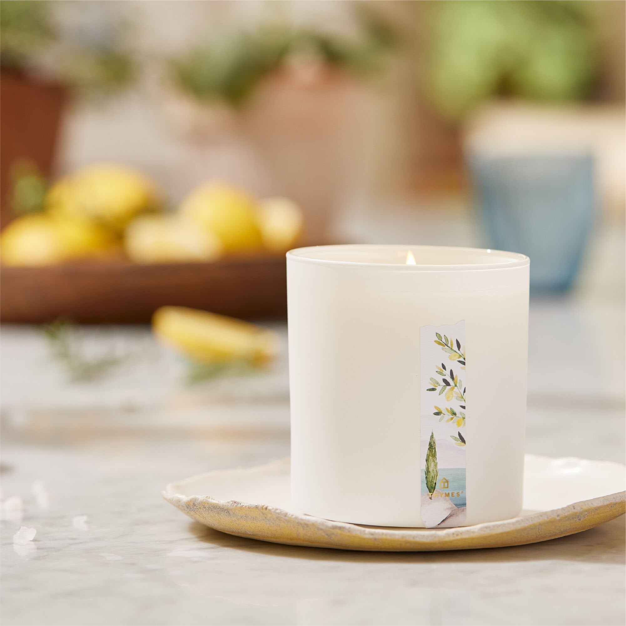 Cyprus Sea Salt Poured Candle - Thymes