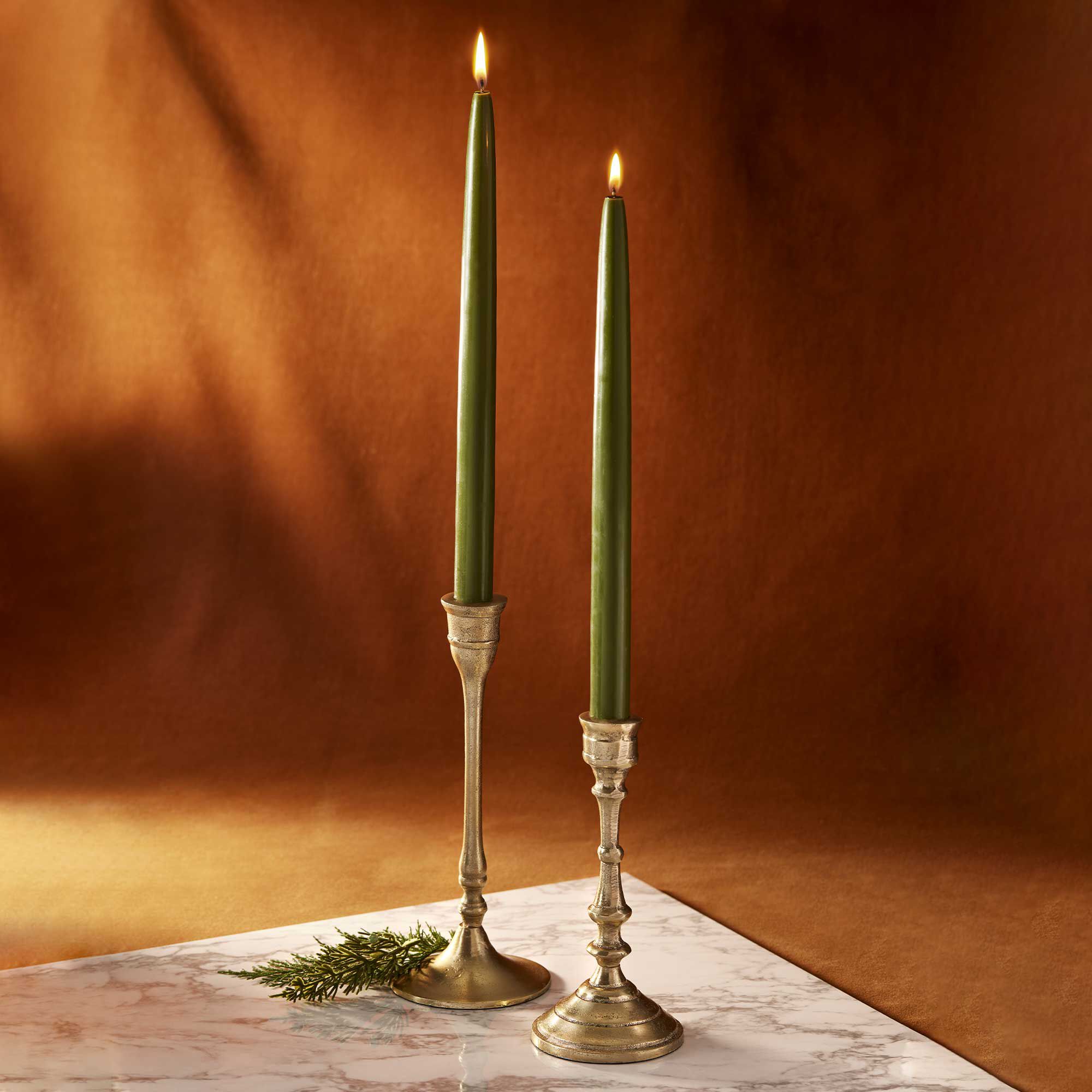 Frasier Fir? 12 Taper Candle Set - Thymes