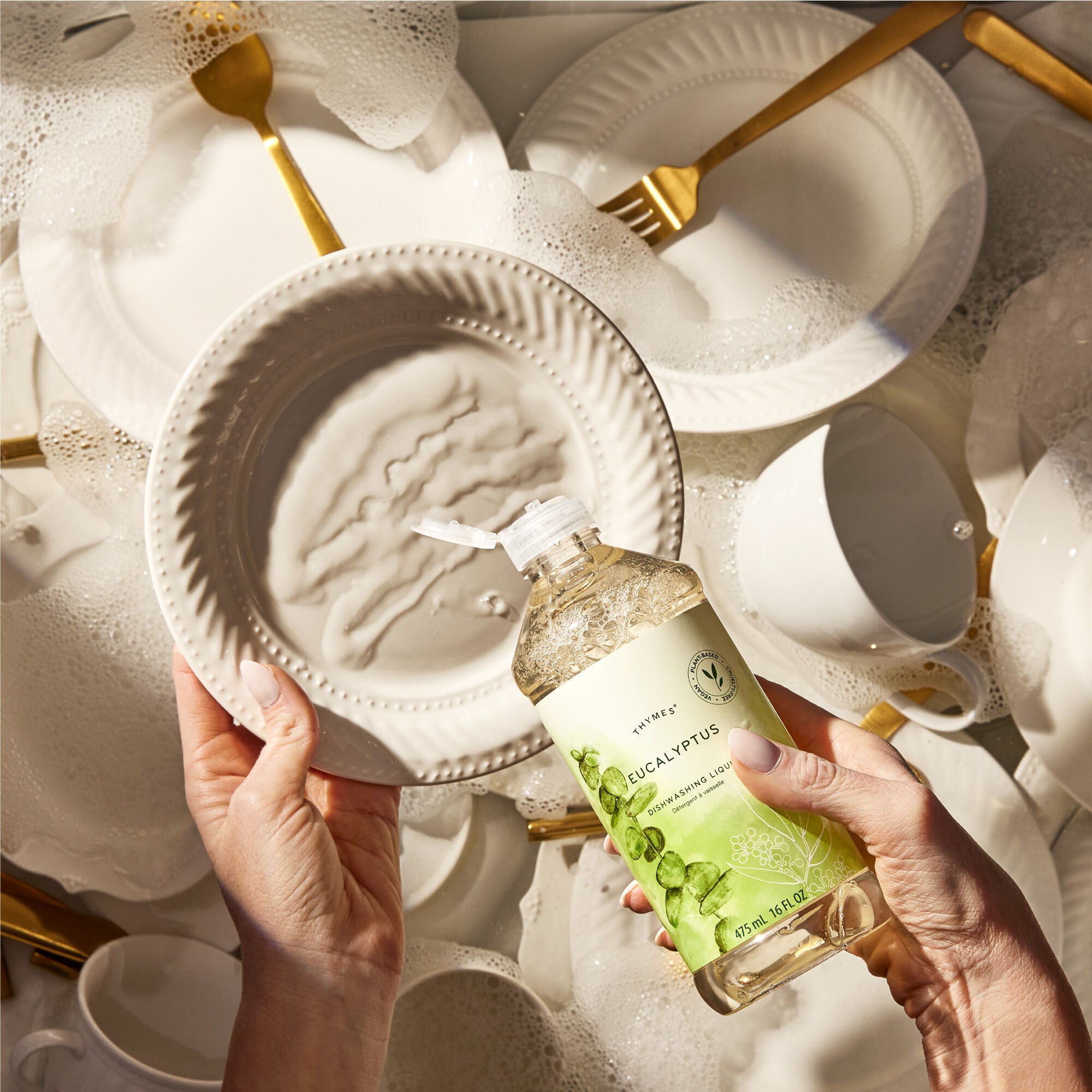 Eucalyptus Dishwashing Liquid - Thymes