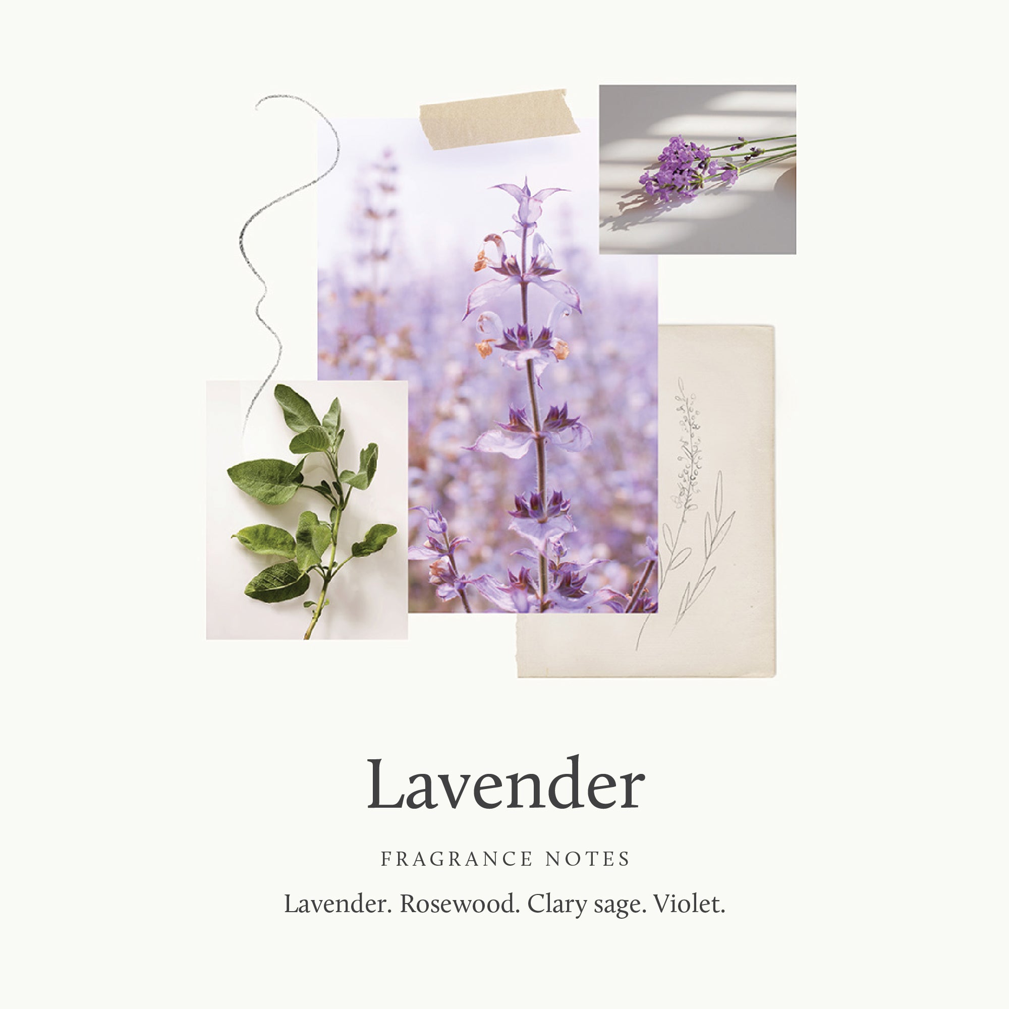 Lavender Replenishing Hand Lotion - Thymes
