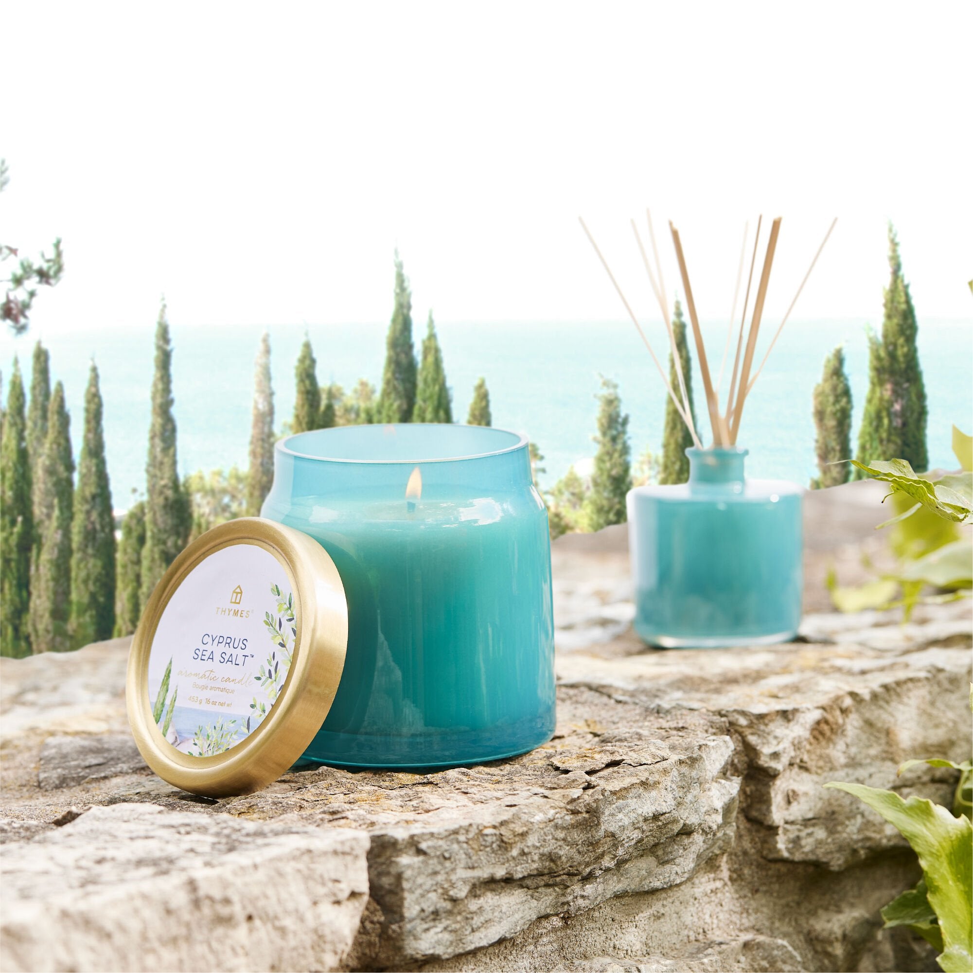 Cyprus Sea Salt Petite Reed Diffuser - Thymes