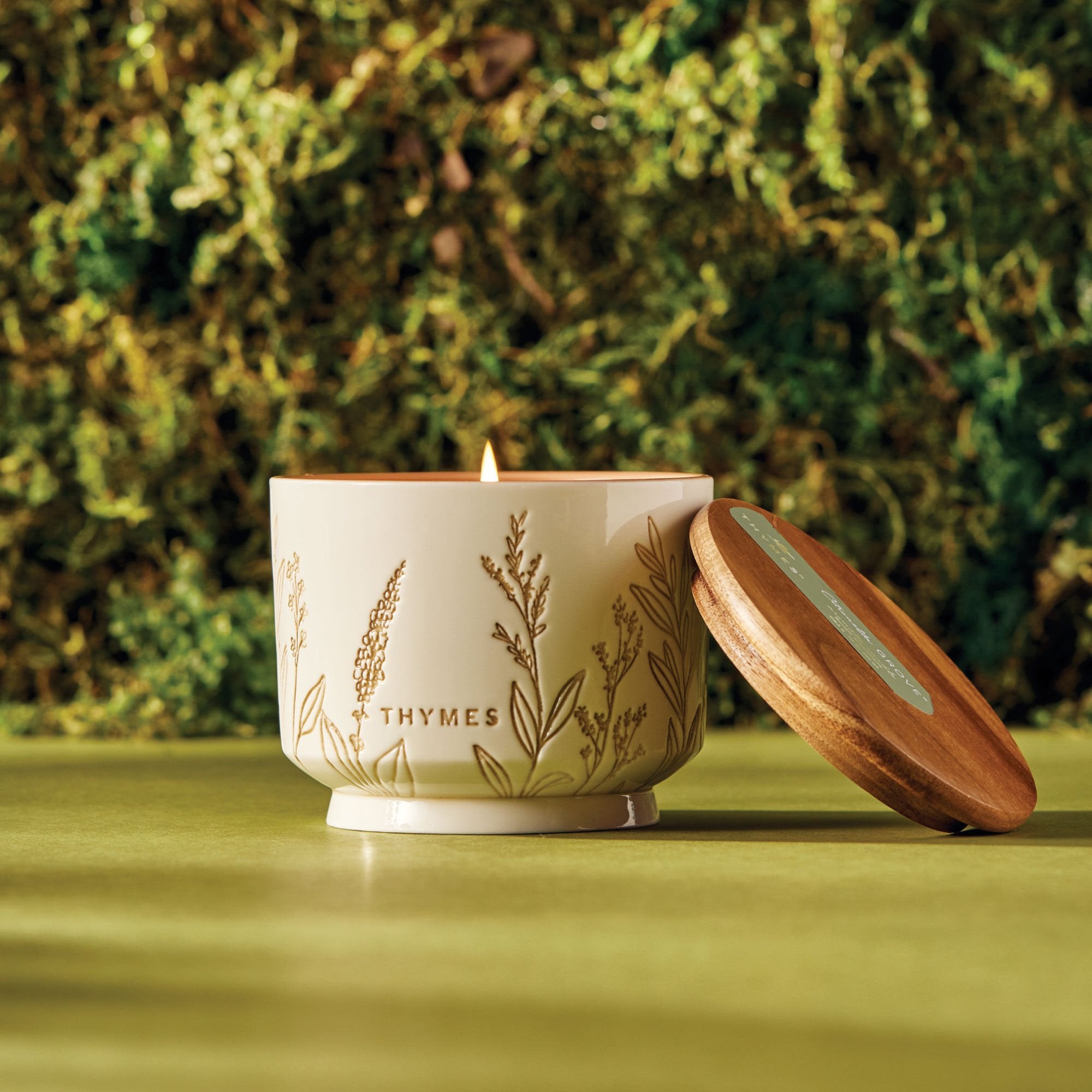 Outdoor Oasis Citronella Grove Medium Candle - Thymes