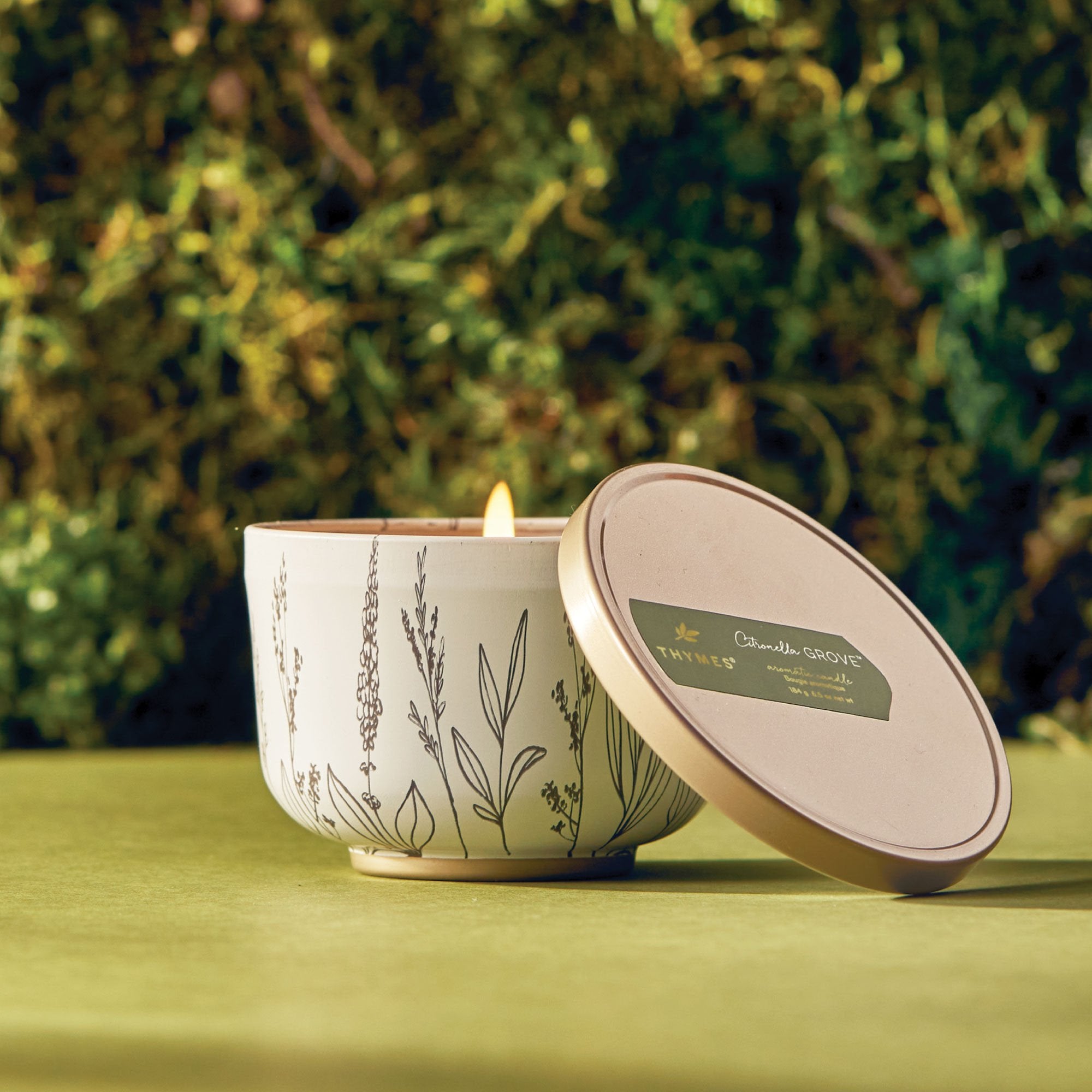 Outdoor Oasis Citronella Grove Poured Candle Tin with Gold Lid - Thymes