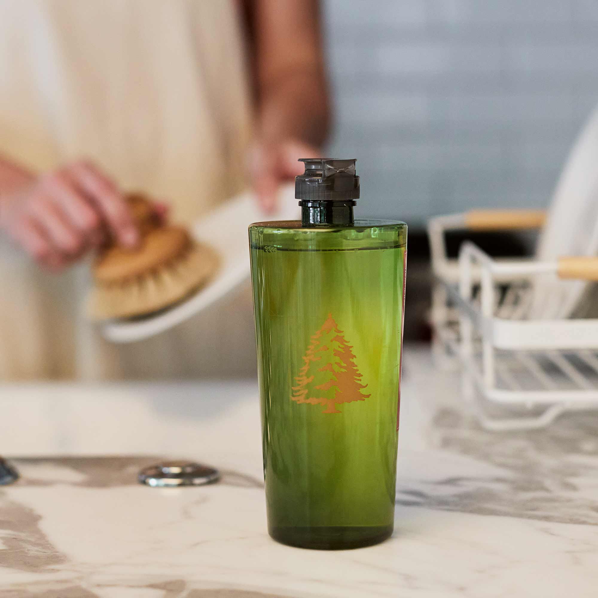 Frasier Fir? Dishwashing Liquid - Thymes