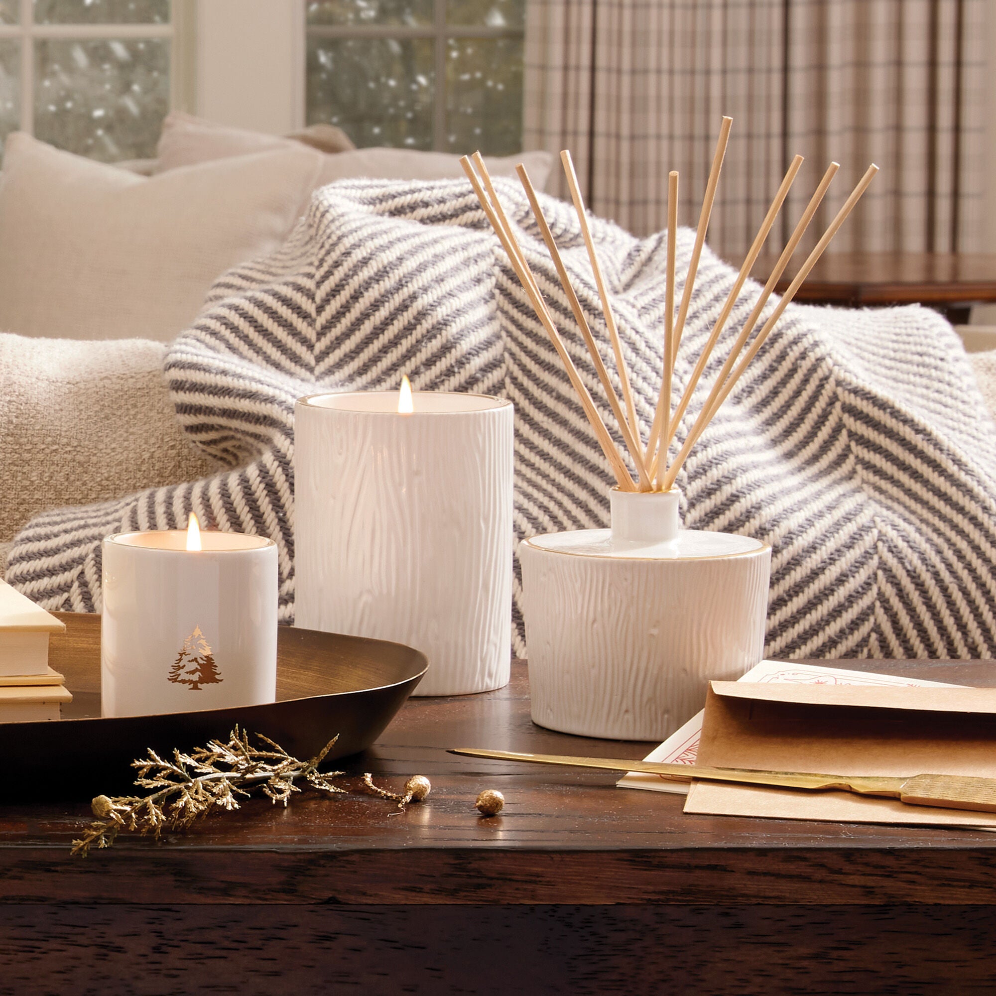Frasier Fir? Ceramic Medium Candle - Thymes