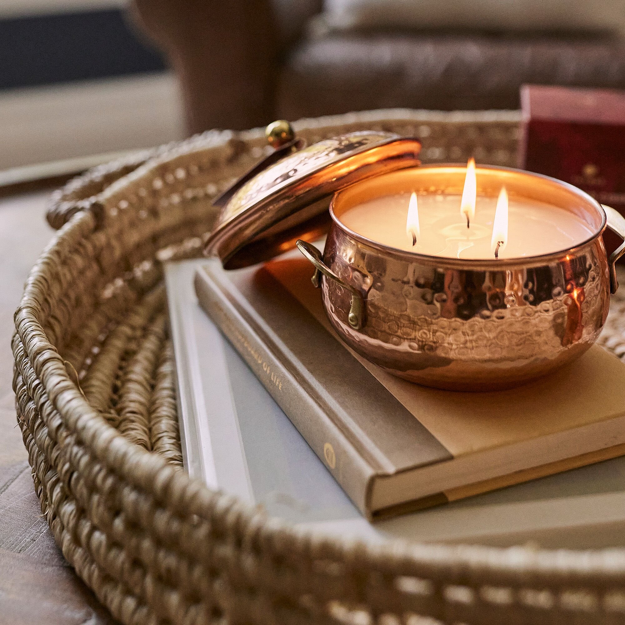 Simmered Cider Copper Pot 3-Wick Candle - Thymes