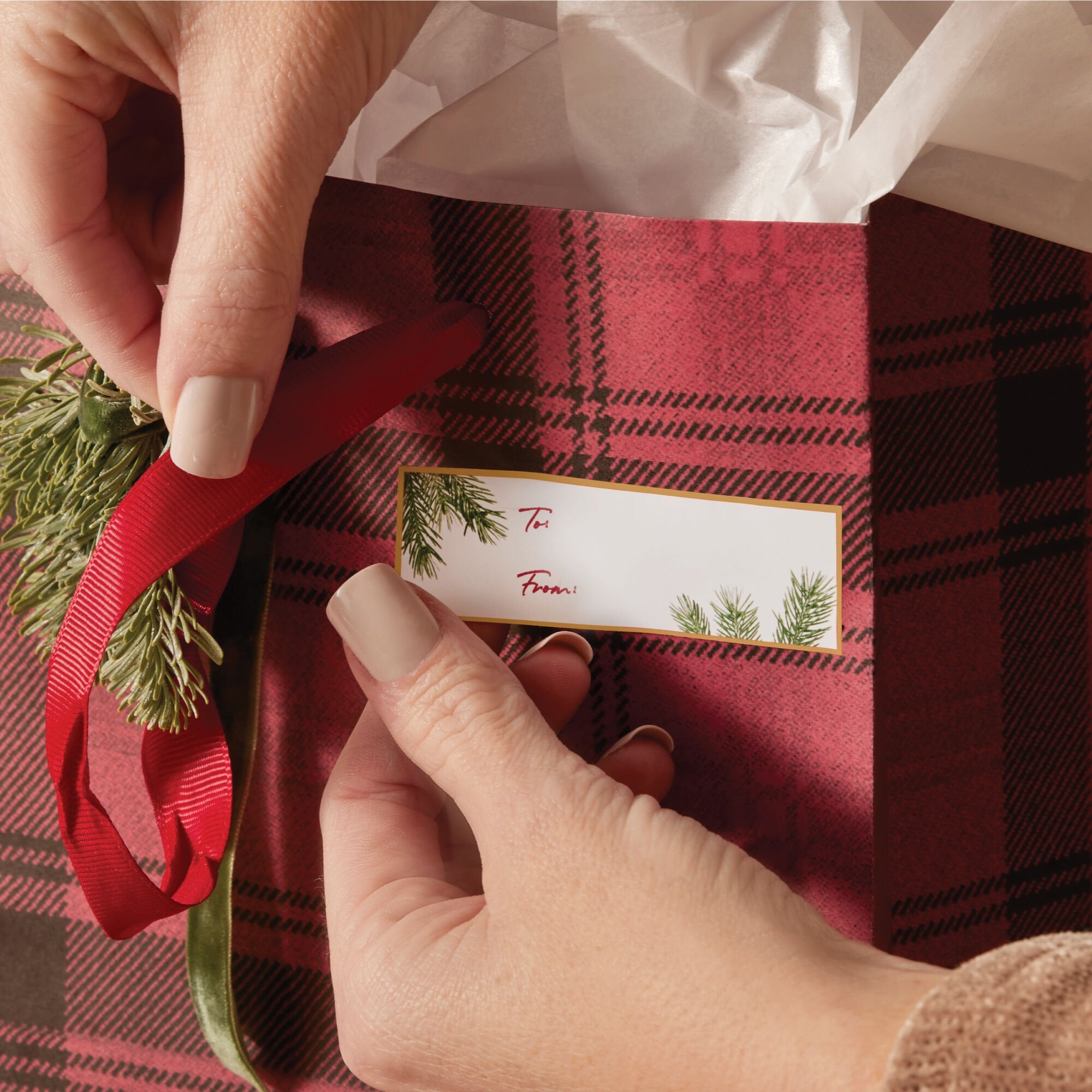 Frasier Fir® Fragranced Adhesive Gift Tags - Thymes